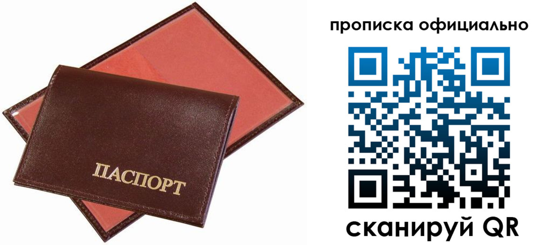 прописка для школы в Санкт-Петербурге